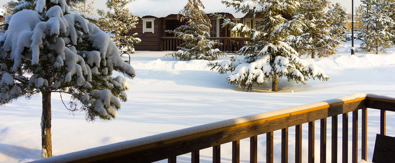 A winter scene depicts a log cabin surrounded by evergreen trees blanketed in snow.