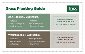 Grass-Planting-Guide