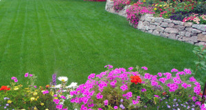 Green-Lawn