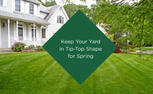 keep-yard-tip-top-shape-spring