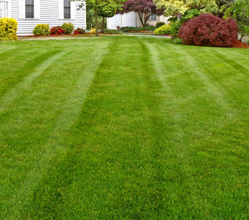 lawn-tip-top-shape-featured