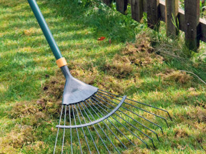 Raking-Yard-Spring