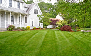 Kelly's landscaping