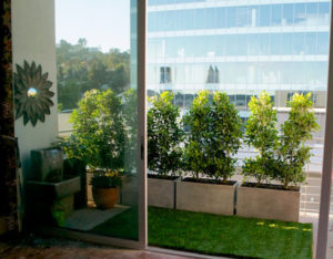 Create-Privacy-on-Balcony