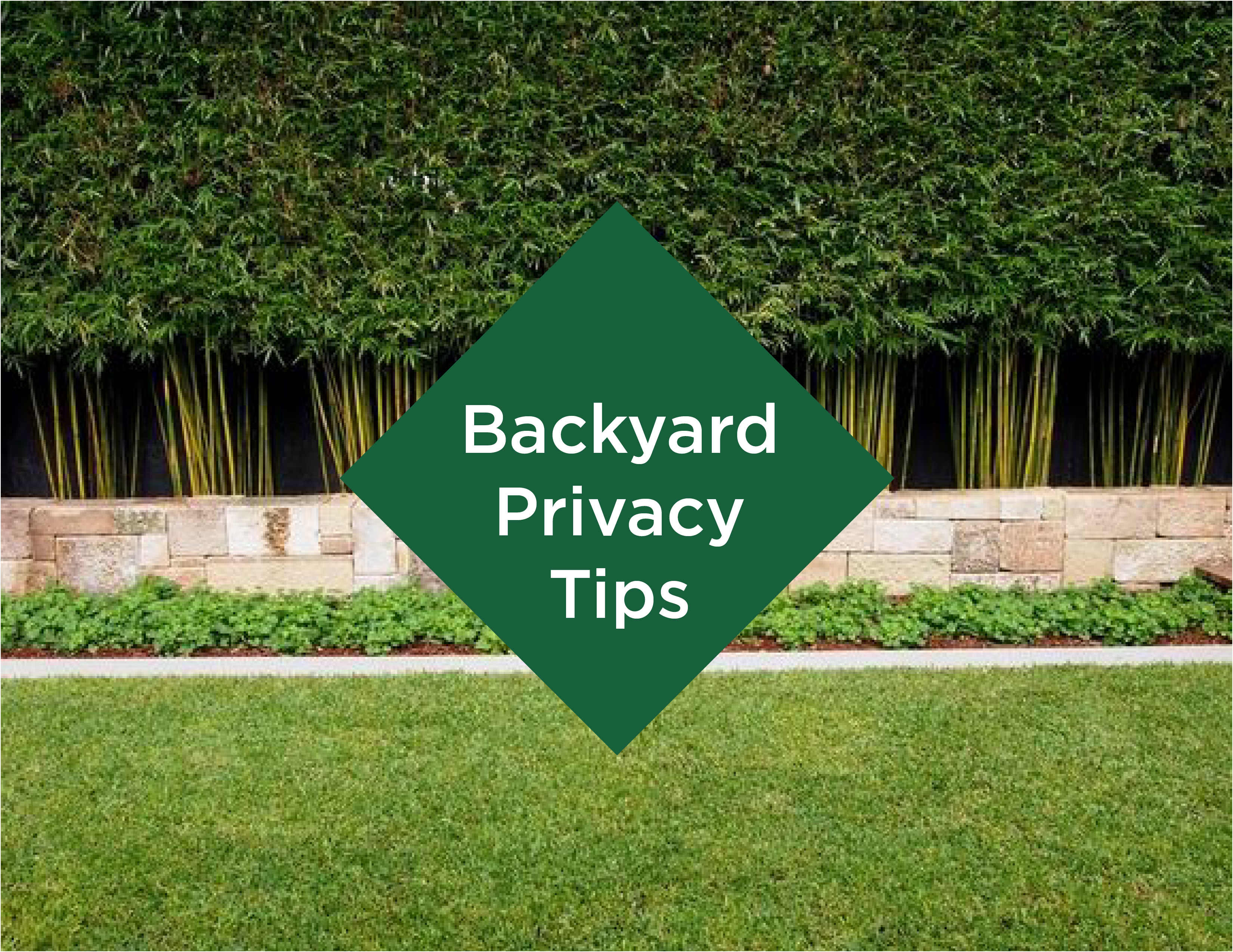 Backyard Privacy Tips Living Outdoors