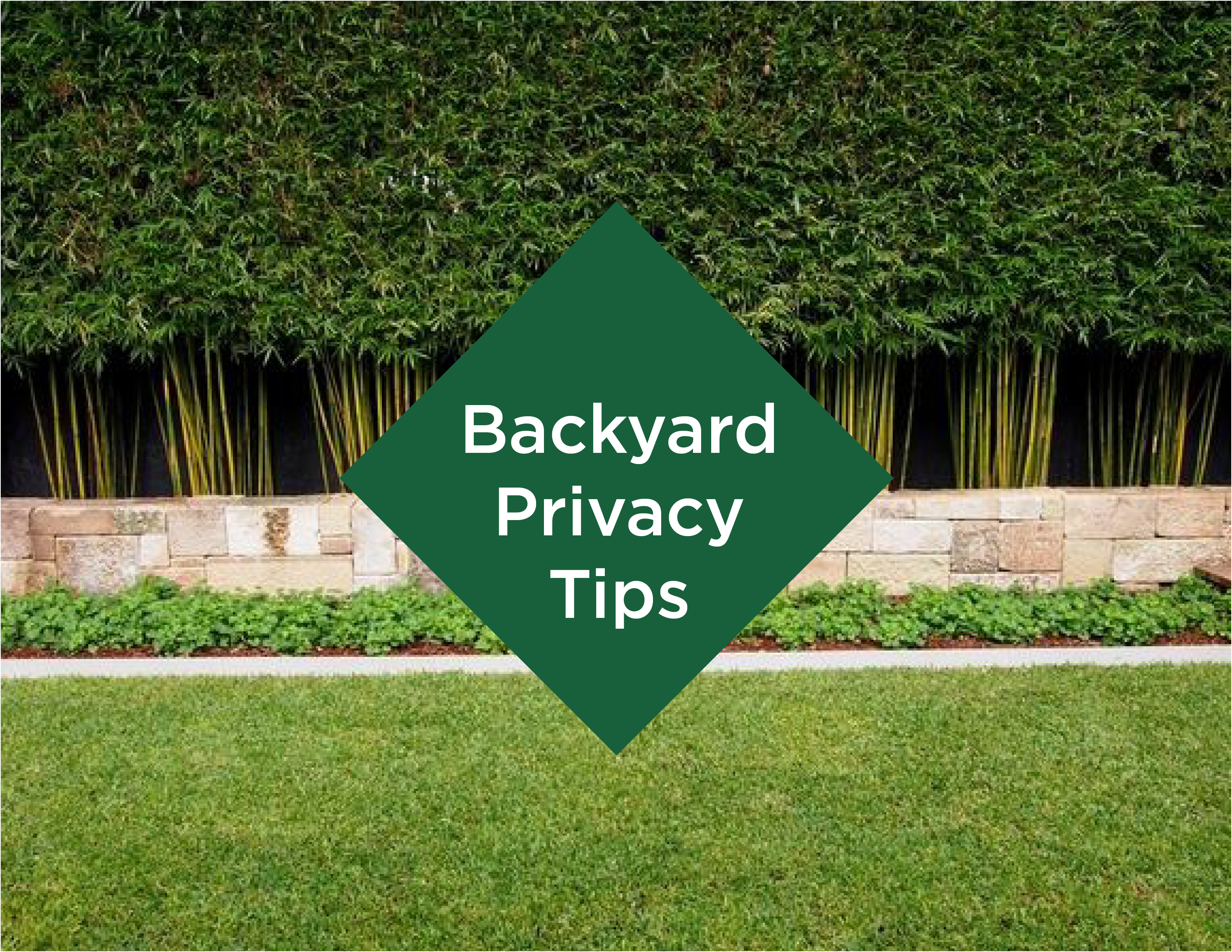 Trex-Furniture-Backyard-Privacy-Tips