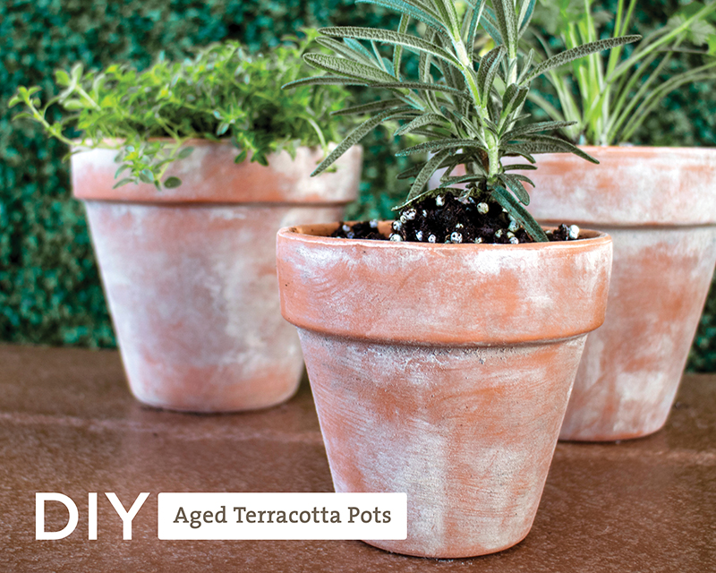 DIY-Aged-Terracotta-Pots