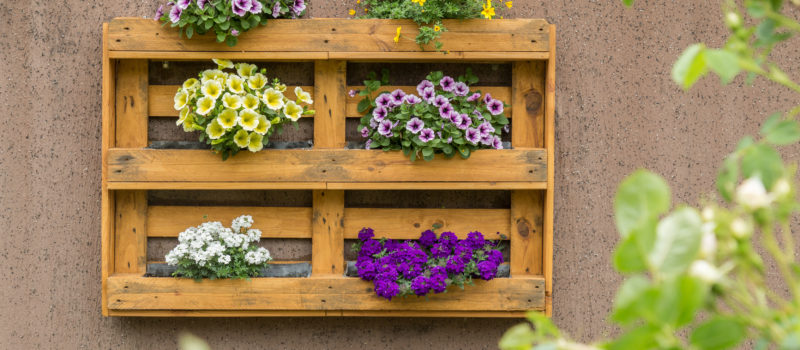 Header VerticalGarden 1 e1527622393651