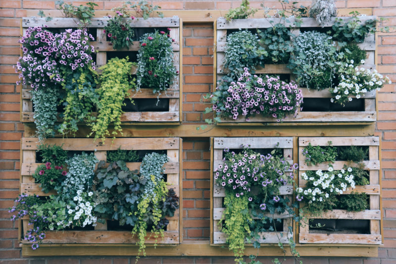 Diy Summer Gardening Ideas Tips That, Ideas For Garage Walls In Gardens