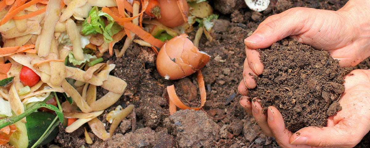 Hands hold compost over vegetable scraps and eggshells.