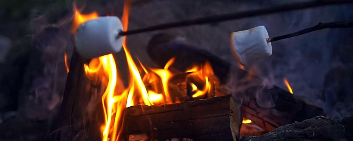 Marshmallows on sticks roast over a wood fire.